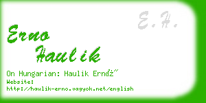 erno haulik business card